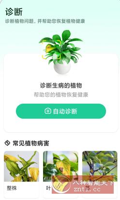 Plant Parent 植物养护v1.105高级版 - 觅资源